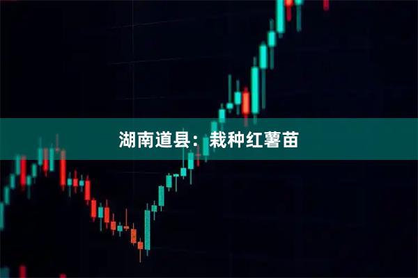 湖南道县：栽种红薯苗