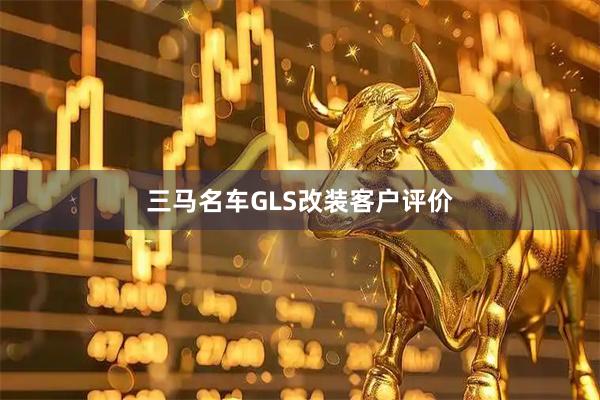 三马名车GLS改装客户评价