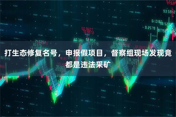 打生态修复名号,申报假项目,督察组现场发现竟都是违法采矿